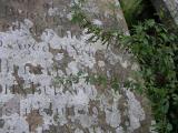 image of grave number 33781